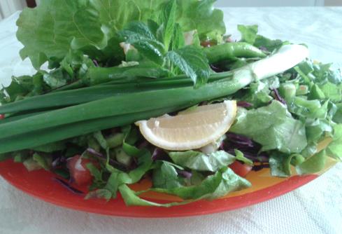 Salaş Salata